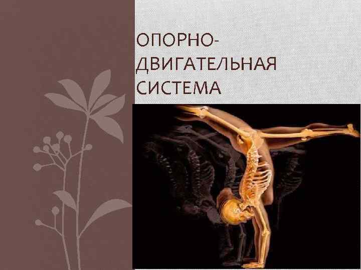 ОПОРНОДВИГАТЕЛЬНАЯ СИСТЕМА 