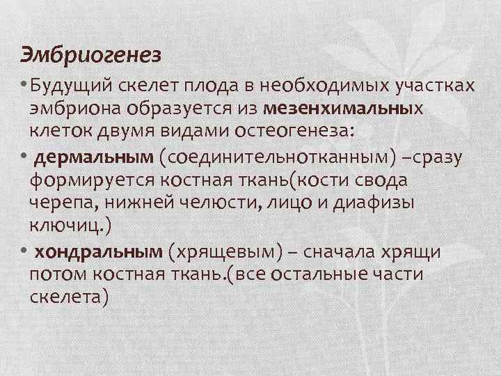 Эмбриогенез • Будущий скелет плода в необходимых участках эмбриона образуется из мезенхимальных клеток двумя