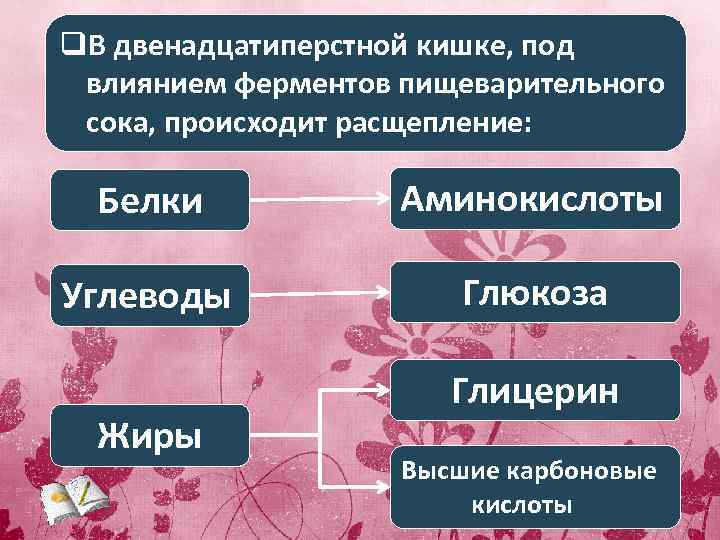 q. В двенадцатиперстной кишке, под влиянием ферментов пищеварительного сока, происходит расщепление: Белки Аминокислоты Углеводы