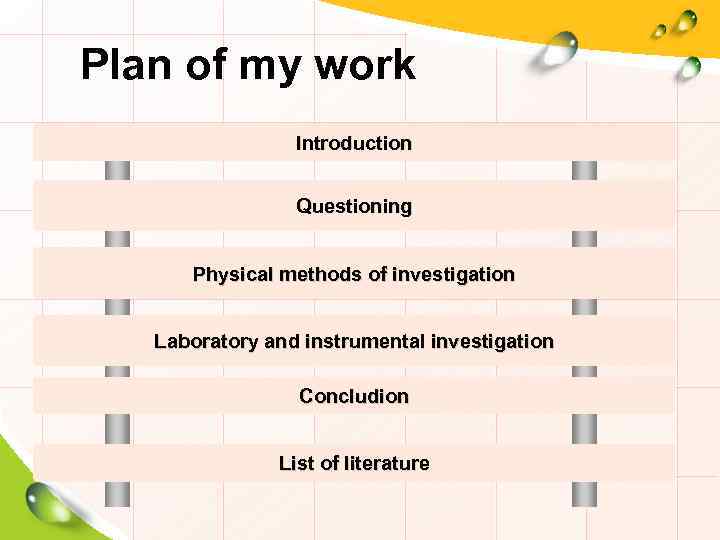 Plan of my work Introduction Questioning Physical methods of investigation Laboratory and instrumental investigation