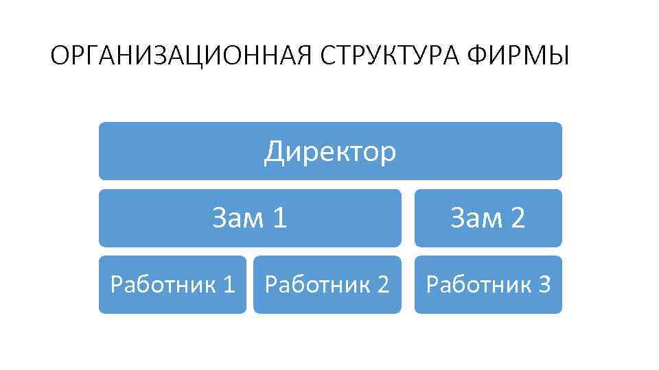 ОРГАНИЗАЦИОННАЯ СТРУКТУРА ФИРМЫ Директор Зам 1 Работник 2 Зам 2 Работник 3 