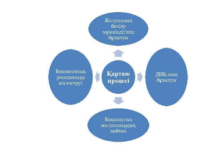 Жасушаның бөліну мүмкіндігінің бұзылуы Биологиялық реакциялард ың өзгеруі Қартаю процесі Бақылаусыз жасушалардың көбеюі ДНҚ-ның