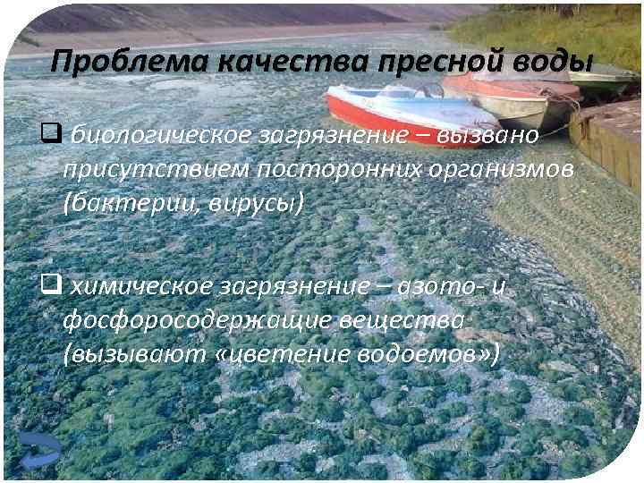 Проблема качества пресной воды q биологическое загрязнение – вызвано присутствием посторонних организмов (бактерии, вирусы)
