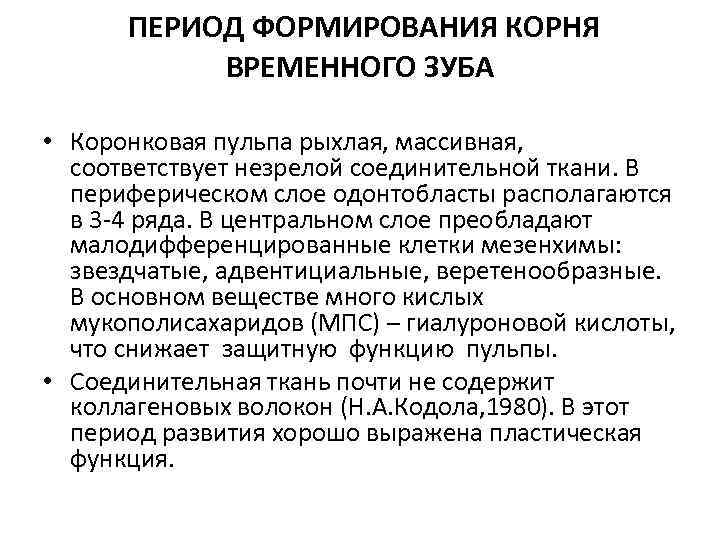 ПЕРИОД ФОРМИРОВАНИЯ КОРНЯ ВРЕМЕННОГО ЗУБА • Коронковая пульпа рыхлая, массивная, соответствует незрелой соединительной ткани.