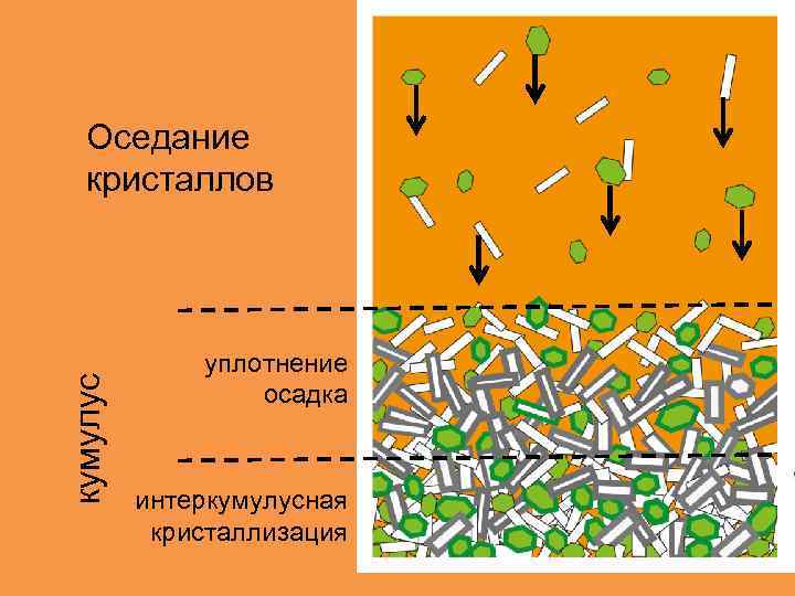 кумулус Оседание кристаллов уплотнение осадка интеркумулусная кристаллизация 