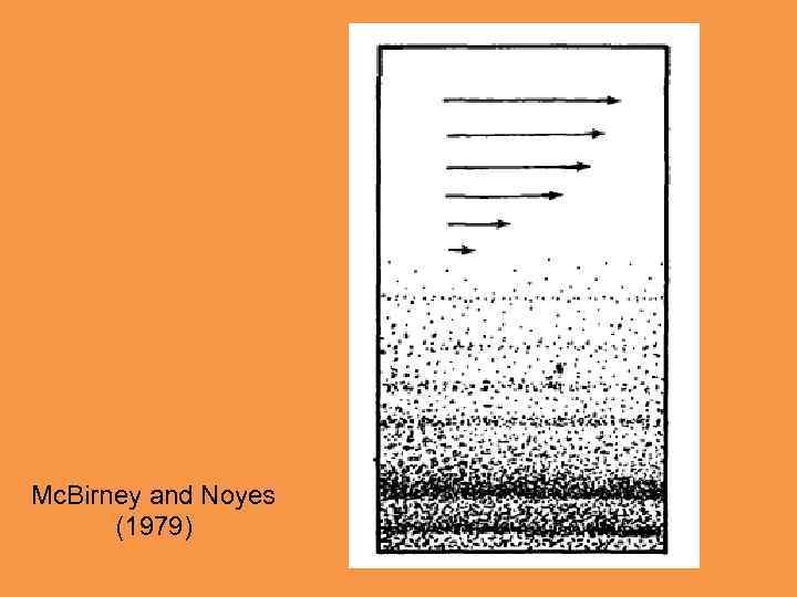 Mc. Birney and Noyes (1979) 