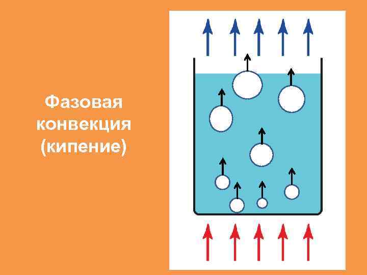 Фазовая конвекция (кипение) 