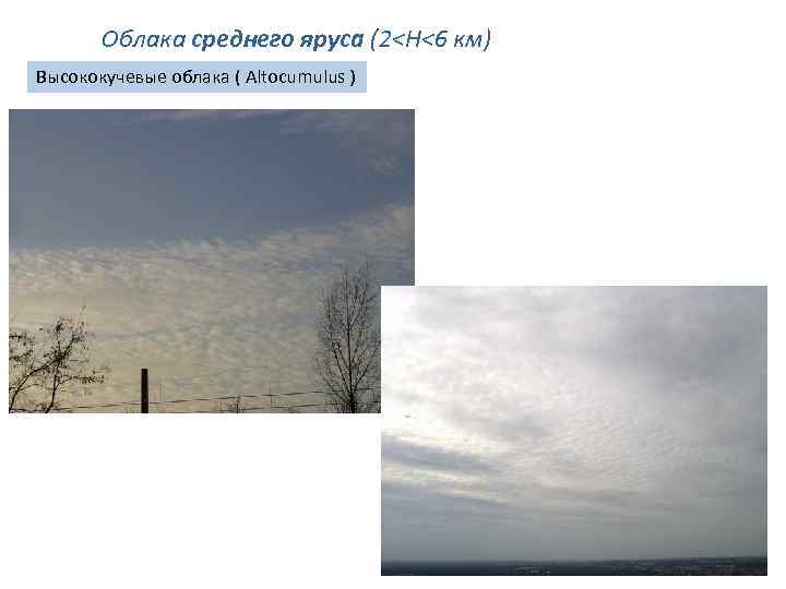 Облака среднего яруса (2<H<6 км) Высококучевые облака ( Altocumulus ) 