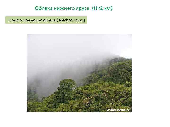 Облака нижнего яруса (H<2 км) Слоисто-дождевые облака ( Nimbostratus ) 