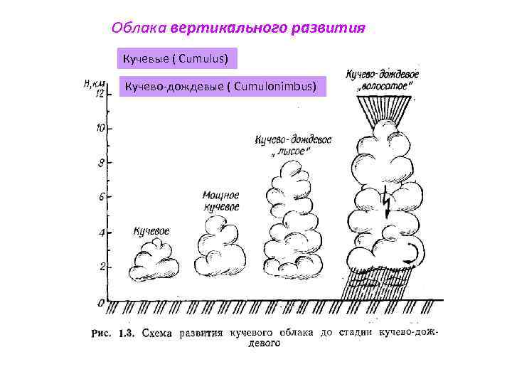 Вертикаль развития