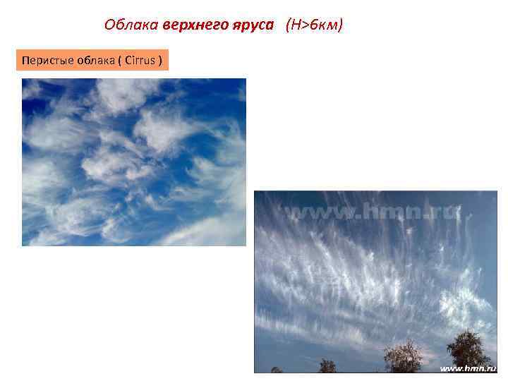 Облака верхнего яруса (Н>6 км) Перистые облака ( Cirrus ) 