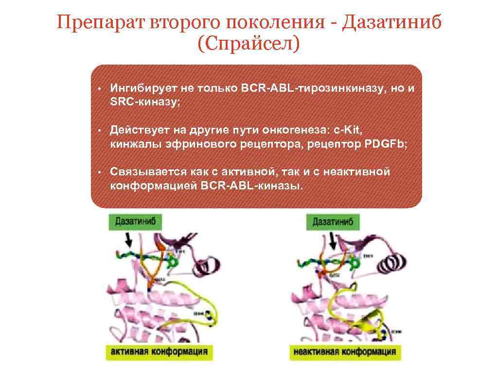 СНК кафедры Онкологии Мультикиназные ингибиторы — 2 BCRABL