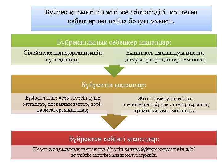 Бүйрек қызметінің жіті жеткіліксіздігі көптеген себептерден пайда болуы мүмкін. Бүйрекалдылық себепкер ықпалдар: Сілейме, коллапс,
