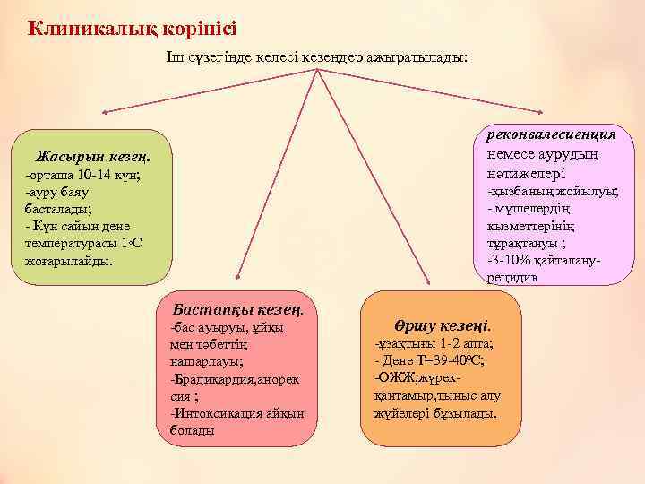 Клиникалық көрінісі Іш сүзегінде келесі кезеңдер ажыратылады: реконвалесценция немесе аурудың нәтижелері Жасырын кезең. -орташа