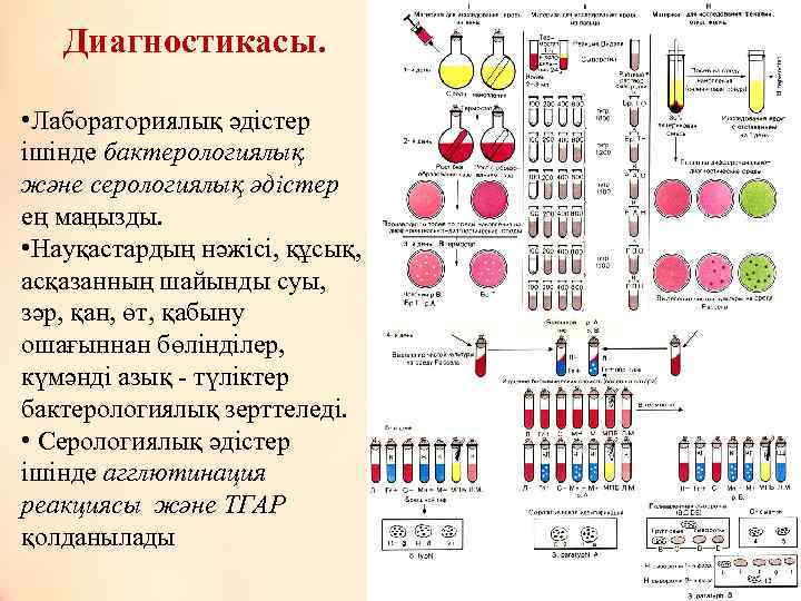 Диагностикасы. • Лабораториялық әдістер ішінде бактерологиялық және серологиялық әдістер ең маңызды. • Науқастардың нәжісі,