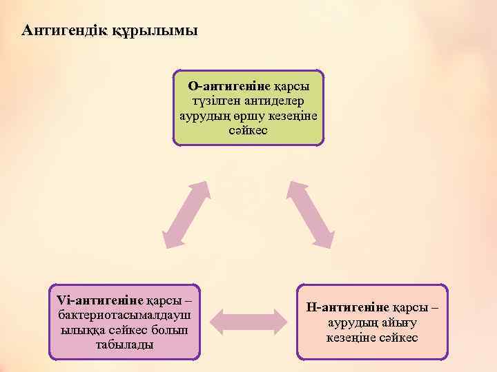 Антигендік құрылымы О-антигеніне қарсы түзілген антиделер аурудың өршу кезеңіне сәйкес Vi-антигеніне қарсы – бактериотасымалдауш