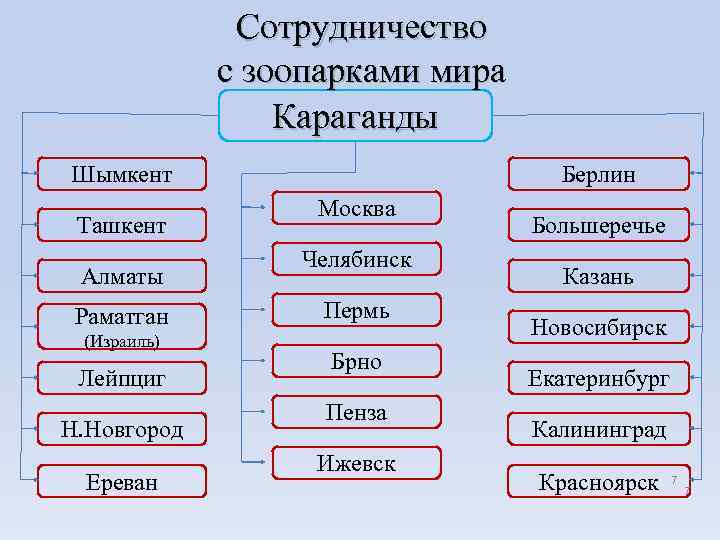 Сотрудничество с зоопарками мира Караганды Шымкент Ташкент Алматы Раматган (Израиль) Лейпциг Н. Новгород Ереван