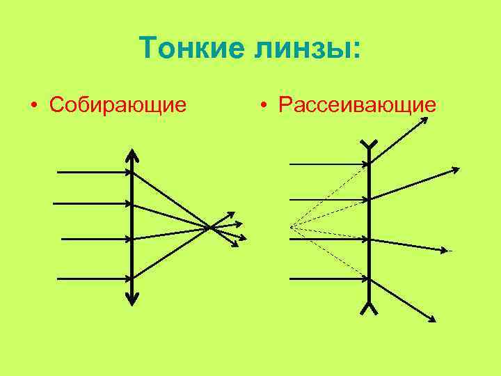 Тонкие линзы: • Собирающие • Рассеивающие 