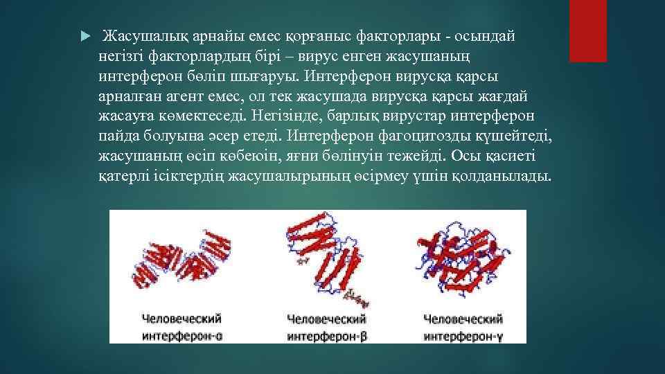  Жасушалық арнайы емес қорғаныс факторлары - осындай негізгі факторлардың бірі – вирус енген