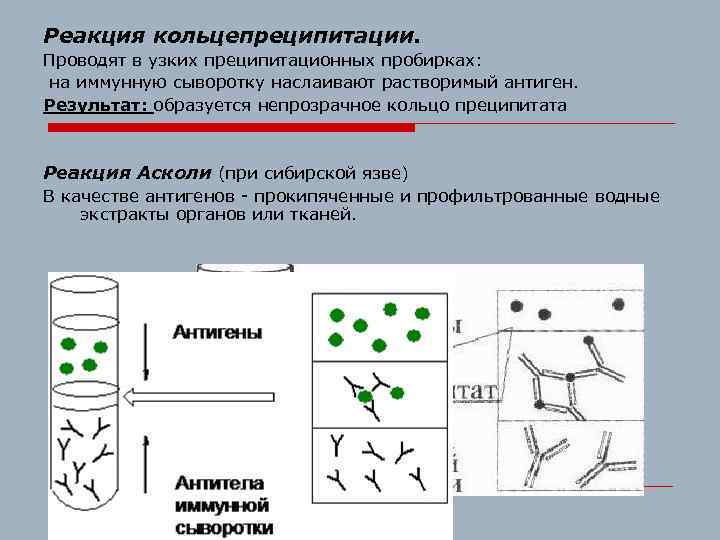 Реакция кольцепреципитации. Проводят в узких преципитационных пробирках: на иммунную сыворотку наслаивают растворимый антиген. Результат: