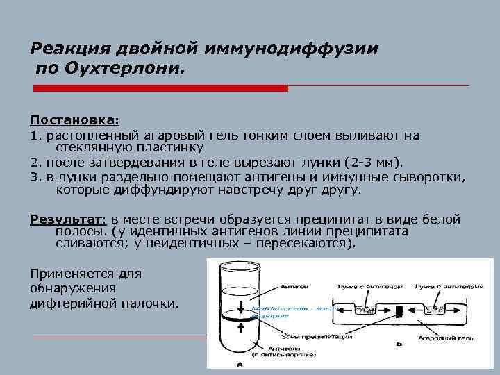 Реакция двойной иммунодиффузии по Оухтерлони. Постановка: 1. растопленный агаровый гель тонким слоем выливают на