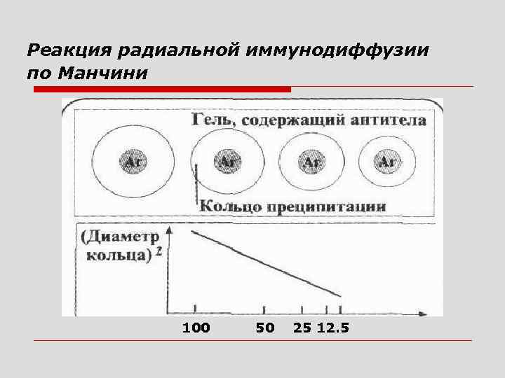 Реакция радиальной иммунодиффузии по Манчини 100 50 25 12. 5 