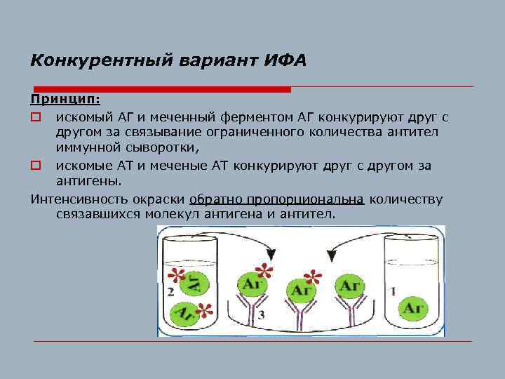 Конкурентный вариант ИФА Принцип: o искомый АГ и меченный ферментом АГ конкурируют друг с