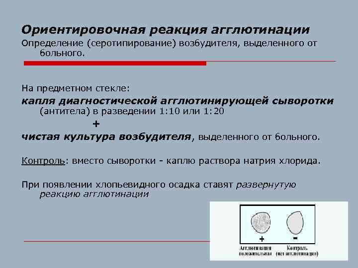 Ориентировочная реакция агглютинации Определение (серотипирование) возбудителя, выделенного от больного. На предметном стекле: капля диагностической