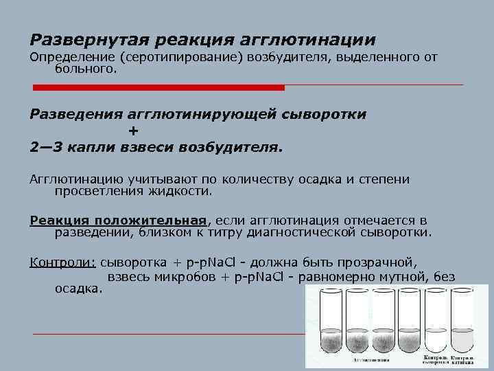 Развернутая реакция агглютинации Определение (серотипирование) возбудителя, выделенного от больного. Разведения агглютинирующей сыворотки + 2—