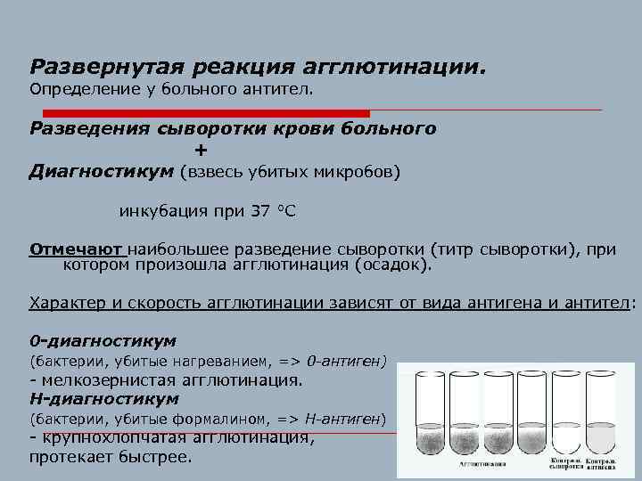 Развернутая реакция агглютинации. Определение у больного антител. Разведения сыворотки крови больного + Диагностикум (взвесь