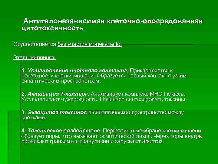 Антителонезависимая клеточно-опосредованная цитотоксичность Осуществляется без участия молекулы Ig. Этапы киллинга: 1. Установление плотного контакта.