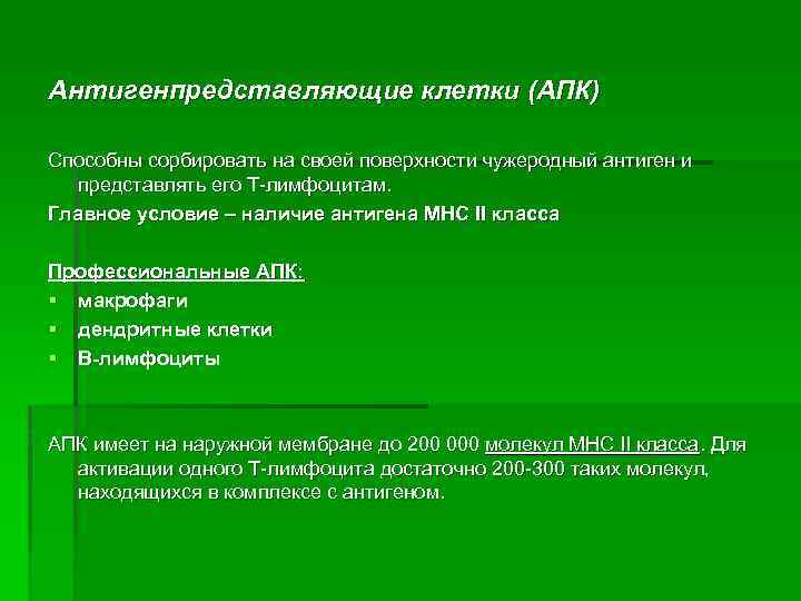 Антигенпредставляющие клетки (АПК) Способны сорбировать на своей поверхности чужеродный антиген и представлять его Т-лимфоцитам.