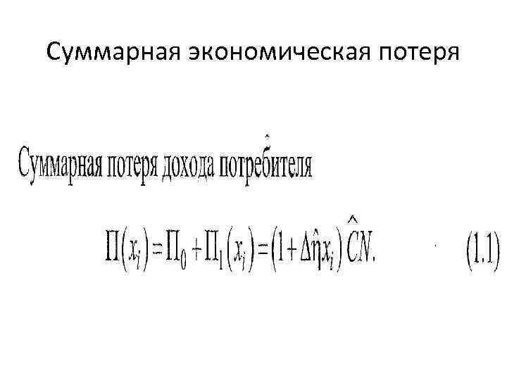 Суммарная экономическая потеря 