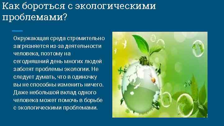 Мини проект экология