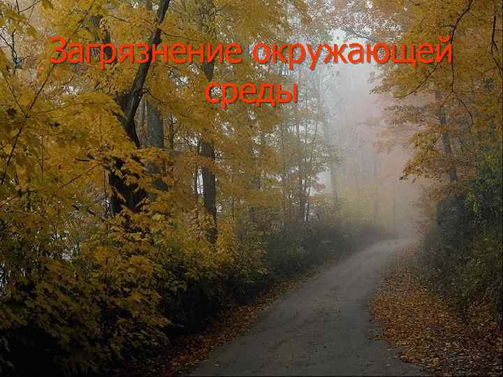 Загрязнение окружающей среды 