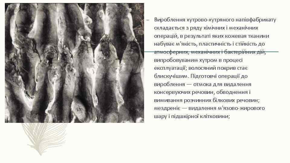 – Вироблення хутрово-хутряного напівфабрикату складається з ряду хімічних і механічних операцій, в результаті яких