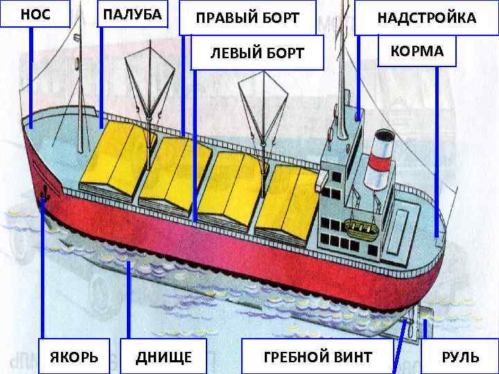 НОС ПАЛУБА ПРАВЫЙ БОРТ ЛЕВЫЙ БОРТ ЯКОРЬ ДНИЩЕ ГРЕБНОЙ ВИНТ НАДСТРОЙКА КОРМА РУЛЬ 