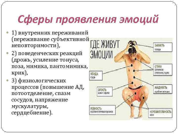 Сферы проявления эмоций 1) внутренних переживаний (переживание субъективной неповторимости), 2) поведенческих реакций (дрожь, усиление