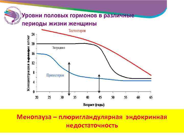 Менопауза – плюригландулярная эндокринная недостаточность 