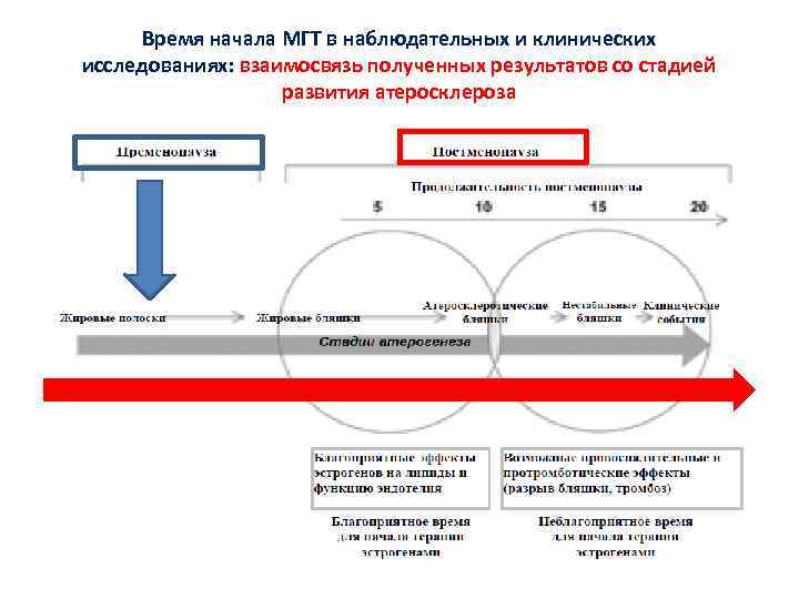 Время начала МГТ в наблюдательных и клинических исследованиях: взаимосвязь полученных результатов со стадией развития