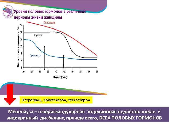 Эстрогены, прогестерон, тестостерон Менопауза – плюригландулярная эндокринная недостаточность и эндокринный дисбаланс, прежде всего, ВСЕХ