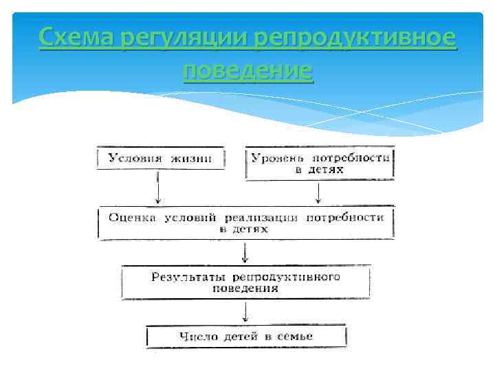 Репродуктивное здоровье схема