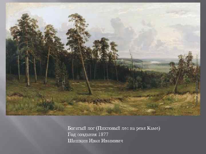 Богатый лог (Пихтовый лес на реке Каме) Год создания 1877 Шишкин Иванович 