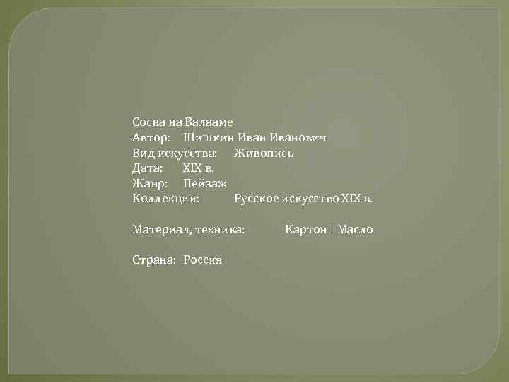 Сосна на Валааме Автор: Шишкин Иванович Вид искусства: Живопись Дата: XIX в. Жанр: Пейзаж