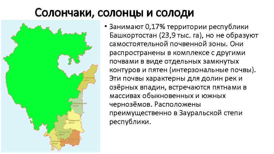 Солончаки, солонцы и солоди • Занимают 0, 17% территории республики Башкортостан (23, 9 тыс.