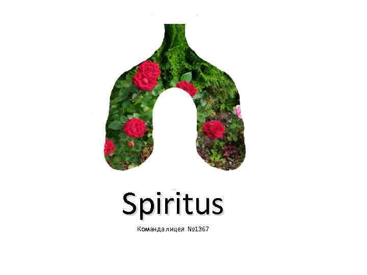 Spiritus Команда лицея № 1367 