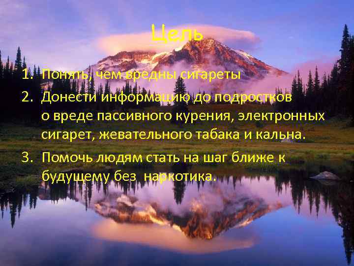Цель 1. Понять, чем вредны сигареты 2. Донести информацию до подростков о вреде пассивного