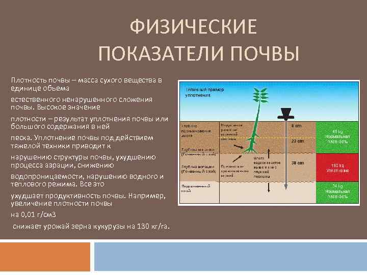 Механические воздействия на почву. Основные показатели качества почвы. Типы почв по плотности. Измерение плотности почвы. Показатели качества почвы химические.