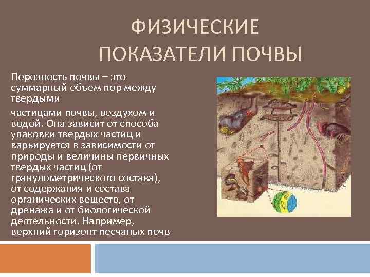 ФИЗИЧЕСКИЕ ПОКАЗАТЕЛИ ПОЧВЫ Порозность почвы – это суммарный объем пор между твердыми частицами почвы,