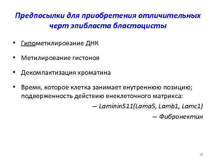 Предпосылки для приобретения отличительных черт эпибласта бластоцисты • Гипометилирование ДНК • Метилирование гистонов •